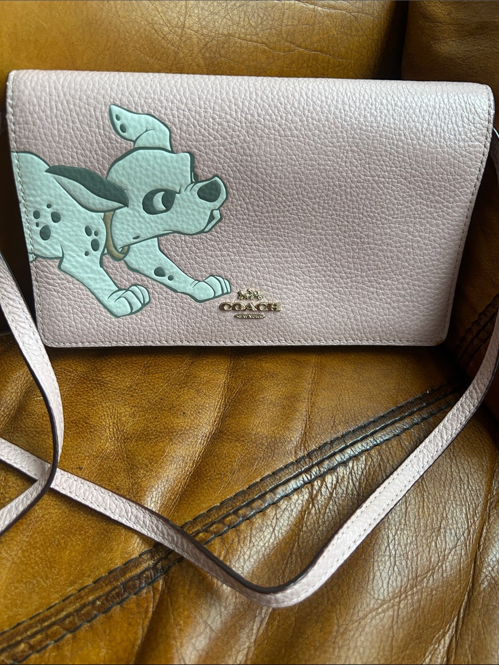 Coach Disney 101 Dalmations Pink Pebbled Leather Crossbody with Mint Dog Graphic